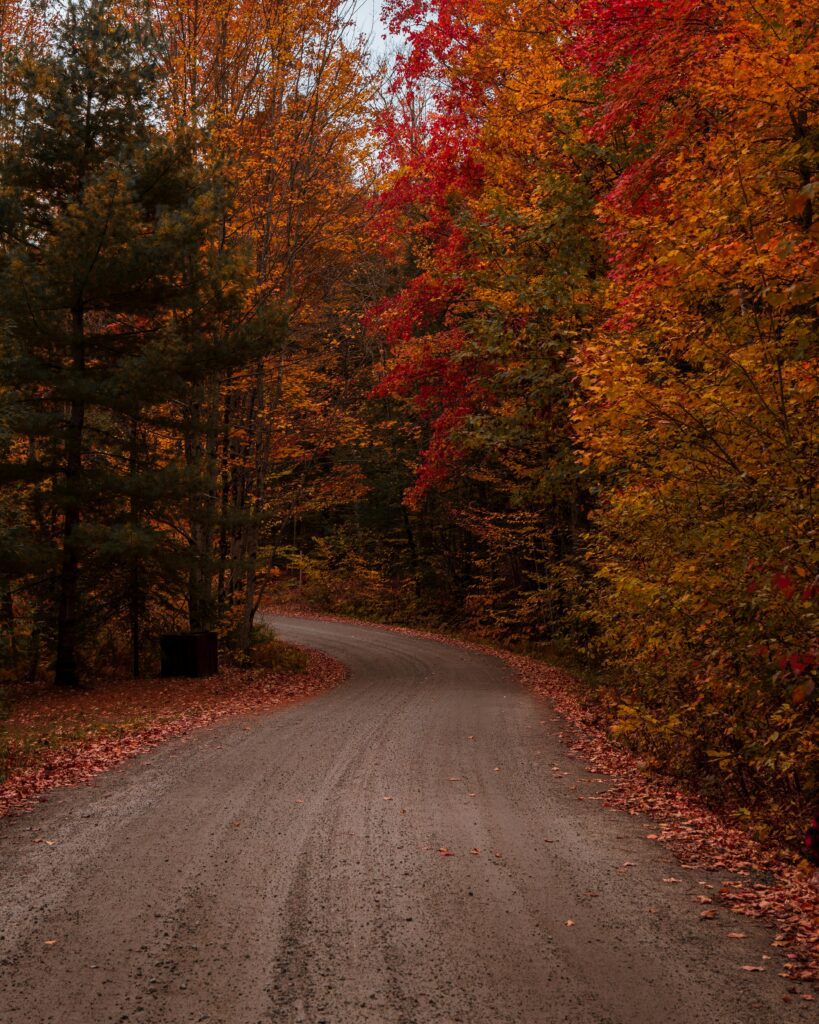 About us winding road